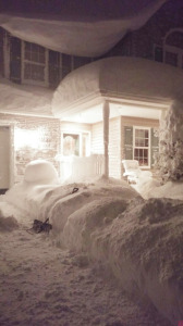 Buffalo snowstorm image