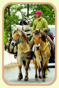 Bernice Ende on the road with her horses and her dog, Claire. Bernice said of the dog, “after 17,000 miles, she has retired.” Photo provided