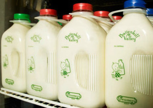 Battenkill bottled milk