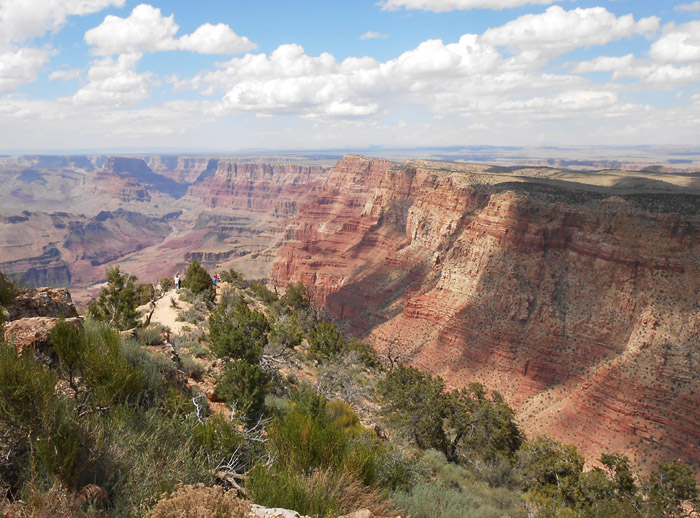 Grand Canyon vista. Photo by Joyce Miller