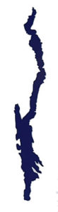 LG silhouette logo